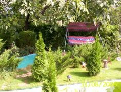 000_0454_resize