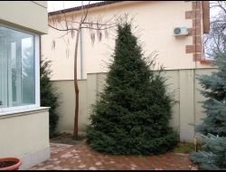 DSCN1061